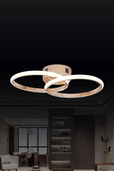 Dekoratif Led Avize BLX-PL-02-2